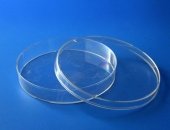 Plastik petri Kutusu